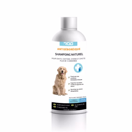 Shampoing Naturel Antiséboréique pour Chien