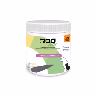 Digestion - Probiotique Complément Alimentaire RoG Activ'