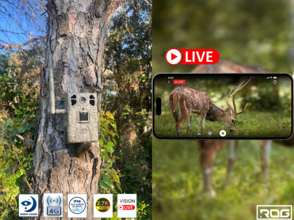 Pack Premium Camera RoG Visio Live V2 – Image 2