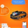 Collier Anti-Fugue RoG Area II + Dressage avec Application – Image 3